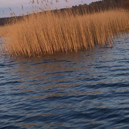 Holenderskie Mazury *