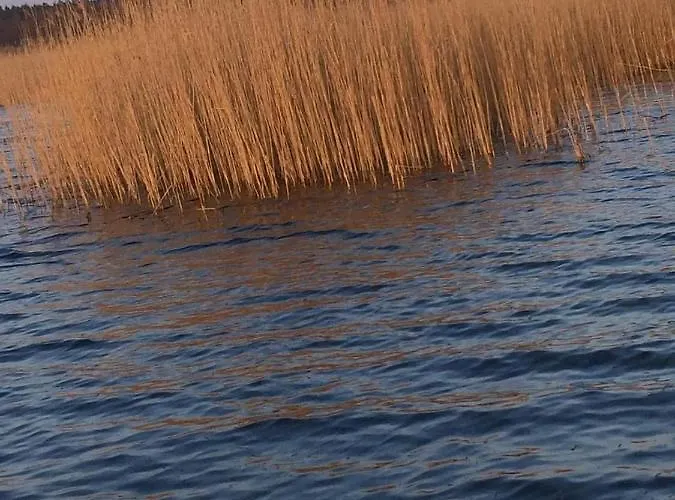 Holenderskie Mazury *